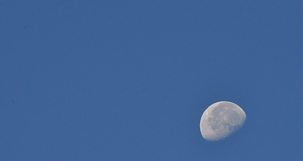 moon in the morning