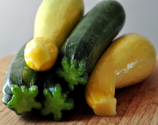 fresh zucchini and summer squash